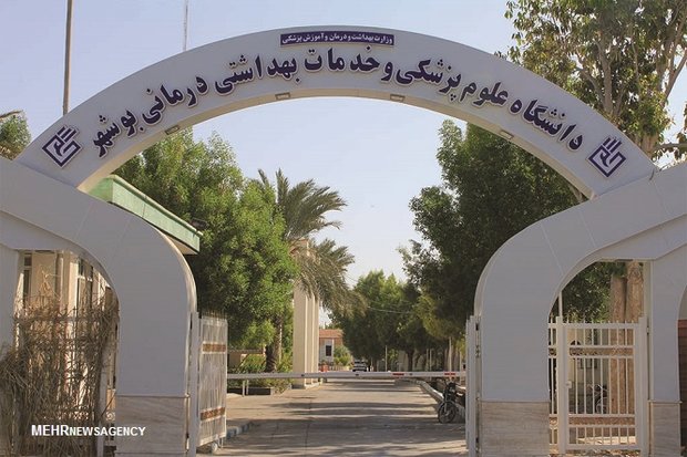 در دانشگاه علوم پزشکی بوشهر چه خبر است؟/ از ناهماهنگی و بی تدبیری در معاونت بهداشت تا گلایه شدید برخی فرمانداران!
