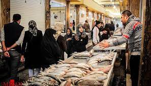 حسرت ماهی به دل بوشهری ها