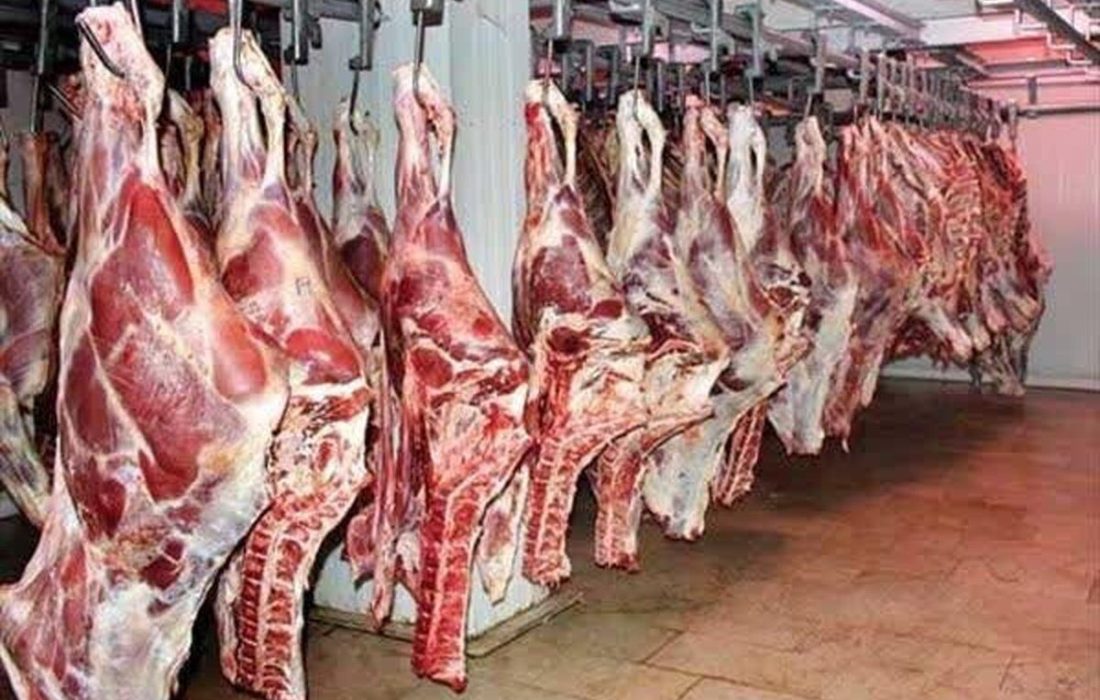 قیمت گوشت قرمز در استان بوشهر کاهش می‌یابد